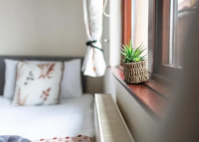 Apartament Adrian House, Near Hospital, Easy Parking + Garden